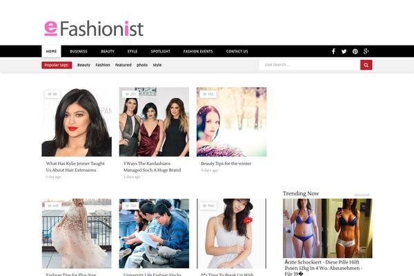 boutique-wp-child theme websites examples