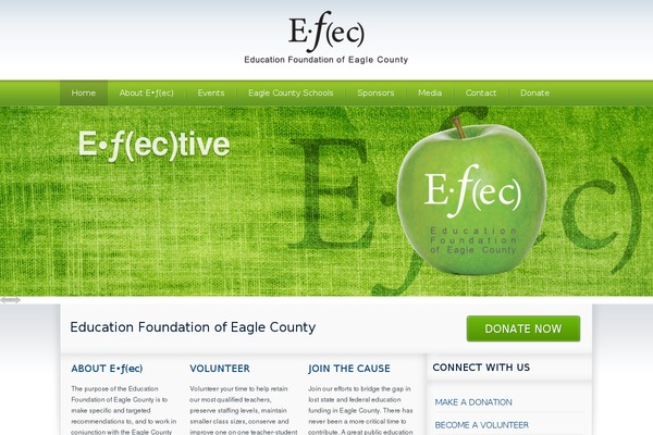 The-cause theme site design template sample