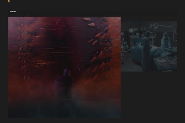 Site using Video Embed & Thumbnail Generator plugin