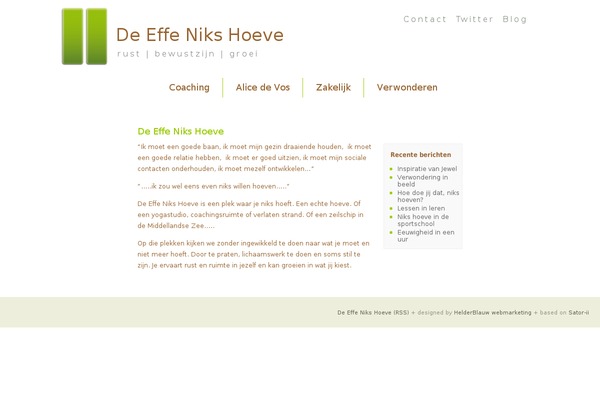 Satorii theme site design template sample