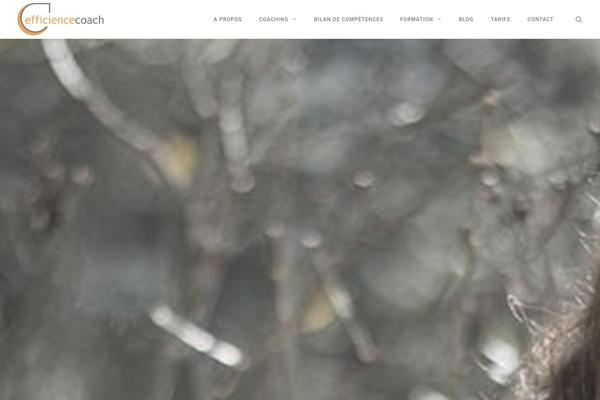 Cesis theme site design template sample