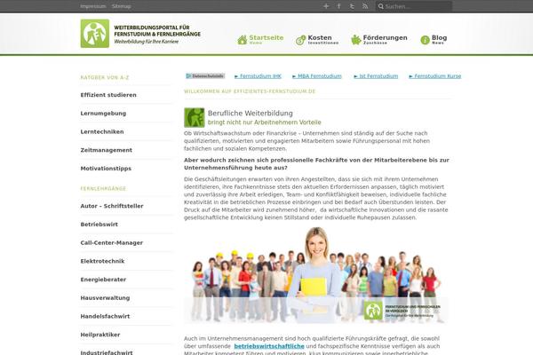 effizientes-fernstudium.de site used Effizientes-fernstudium