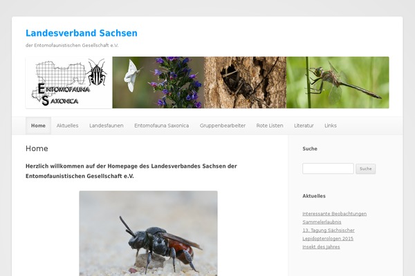 efgsachsen.de site used ColorLight
