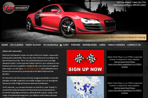 efi theme websites examples