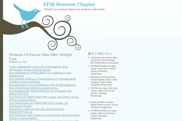efikhouston.com site used Bluebird