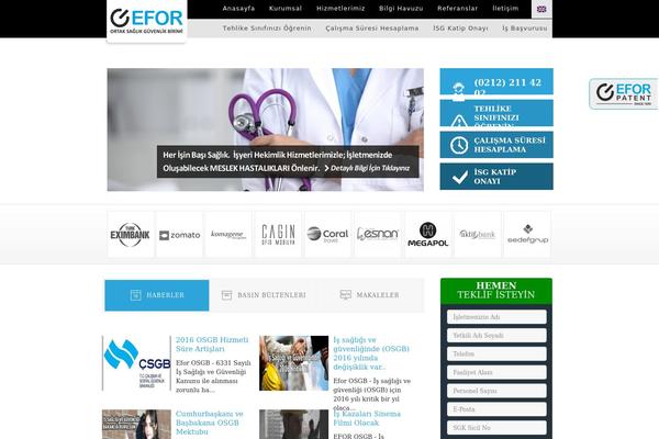 eforosgb.com site used Efor