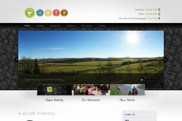 Site using a3 Lazy Load plugin
