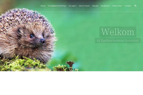 Site using Paytium-pro plugin