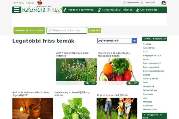 Magaziner theme site design template sample