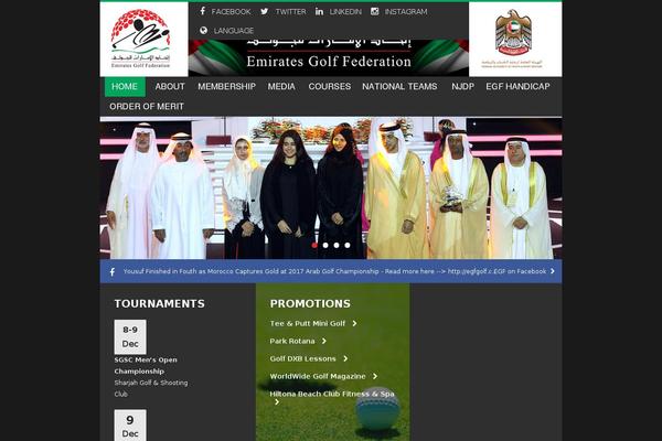 Site using Google Language Translator plugin