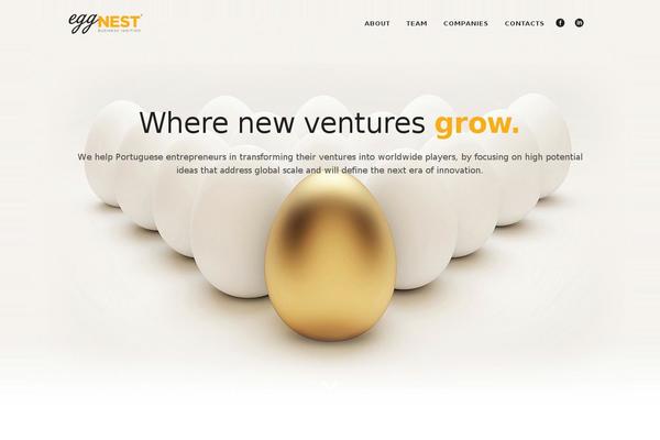eggnest.org site used Eggnest