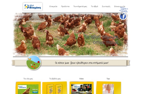 Flatsome Child Theme theme site design template sample