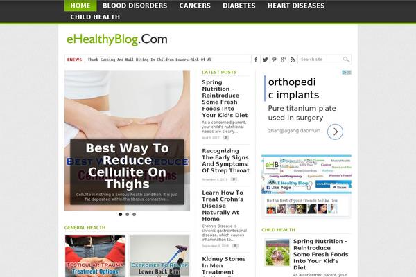 Max Mag theme site design template sample