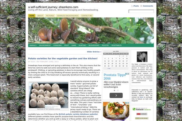 Atahualpa theme site design template sample