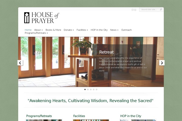 Chameleon theme site design template sample