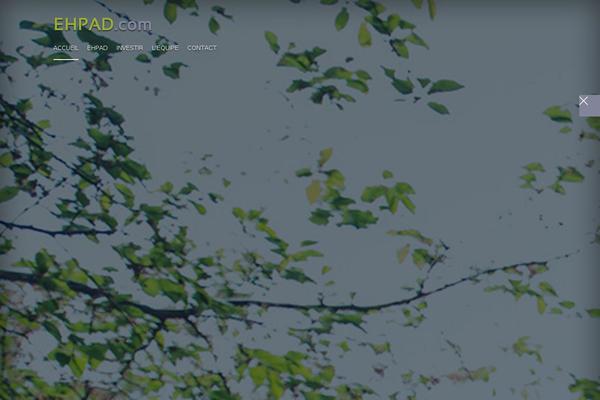 Site using Viper's Video Quicktags plugin