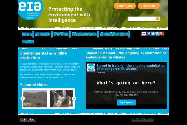 eia-international.org site used Eia