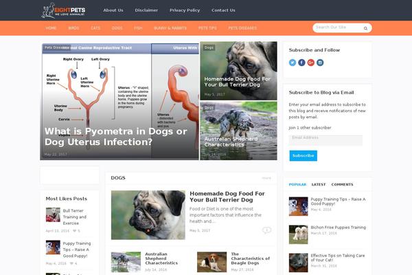Site using WP Shortcode by MyThemeShop plugin