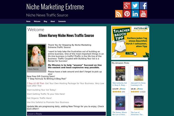 Dynamic News Lite theme site design template sample