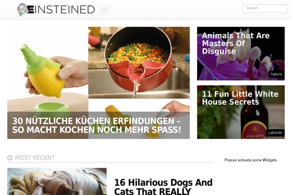 onesocial theme websites examples