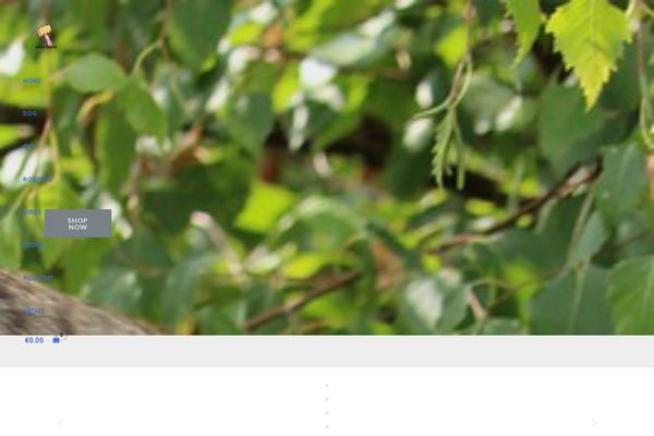 Site using Variation-swatches-woo plugin