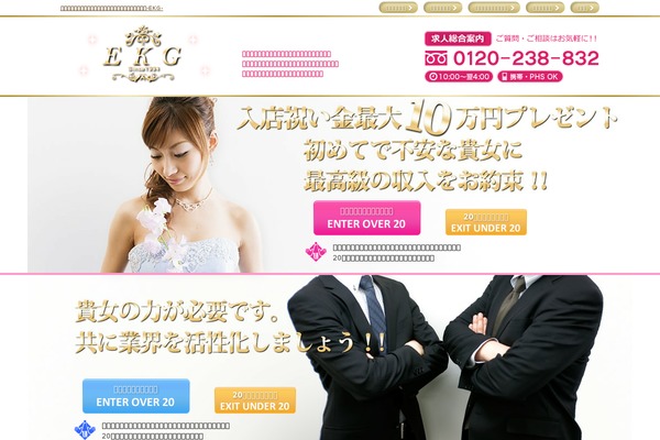 ekg theme websites examples