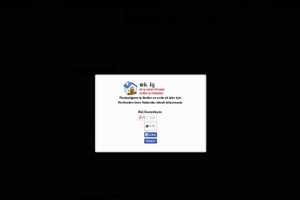 ek-is.org site used Elegantrush