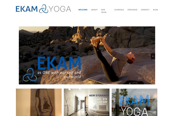 Wpex-portafolio theme site design template sample