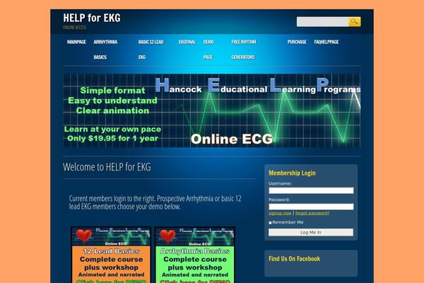 Online Marketer theme site design template sample