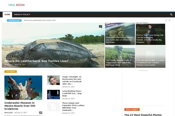 Site using DJD Site Post plugin