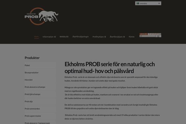 X Child theme site design template sample