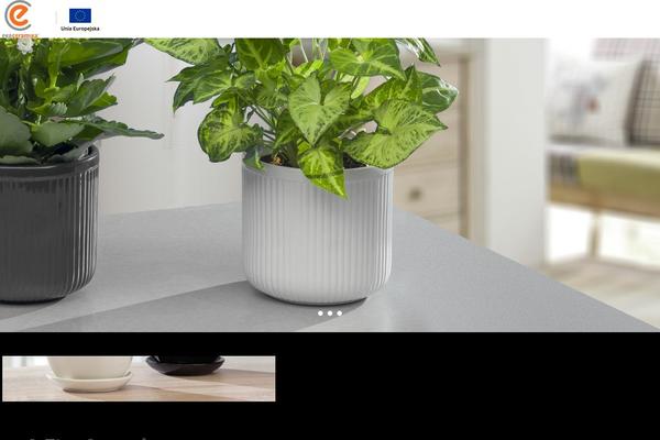 Site using Rocket-lazy-load plugin