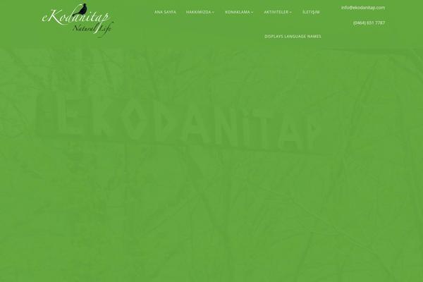 Site using Themeum-tweet plugin