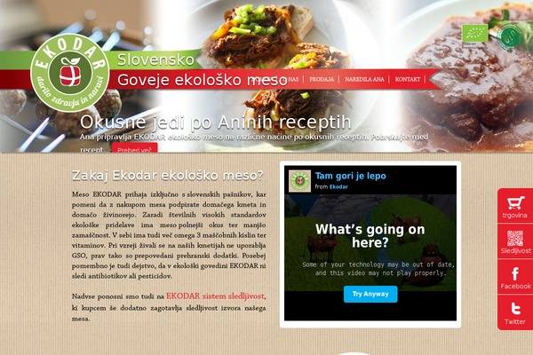 WordPress website example screenshot