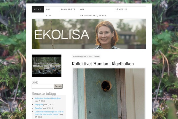 Pilcrow theme site design template sample