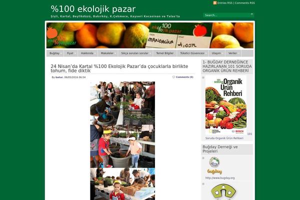 Panorama theme site design template sample