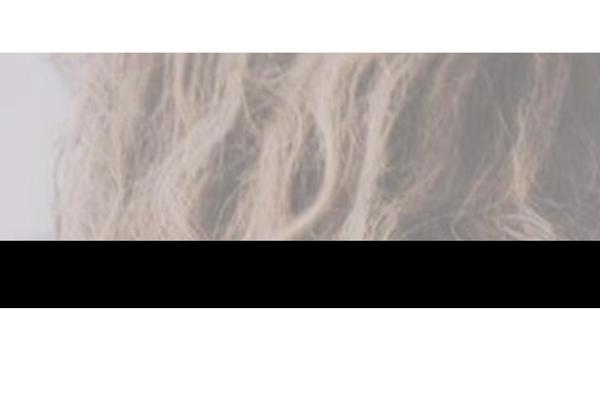 ekspertinfo.pl site used Geya