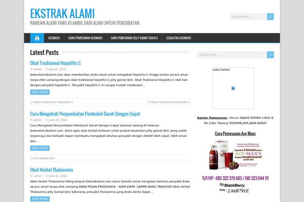 HappenStance theme site design template sample