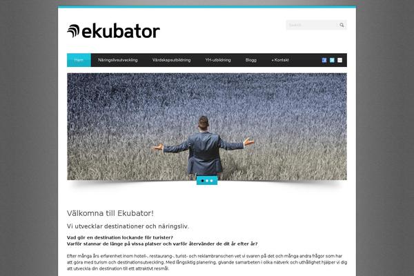Bluediamond-v1-11 theme site design template sample
