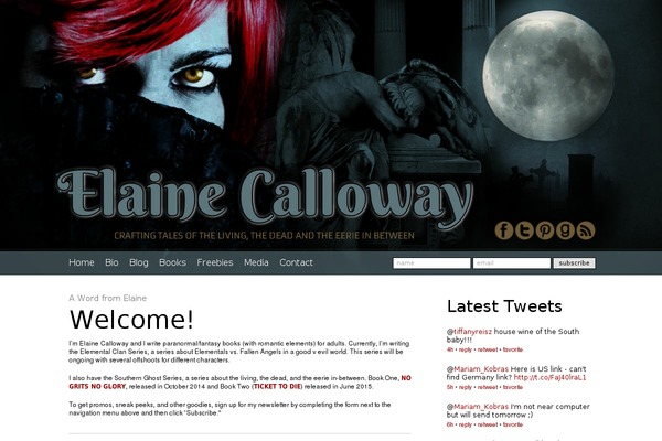 Site using Any User Twitter Feed plugin