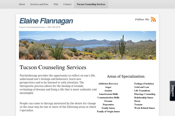 SmartOne theme site design template sample
