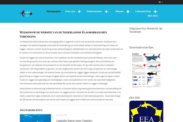 Everything theme site design template sample