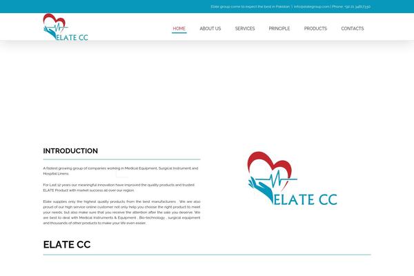 Site using Woocommerce Image Zoom plugin