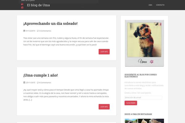 Soledad theme site design template sample