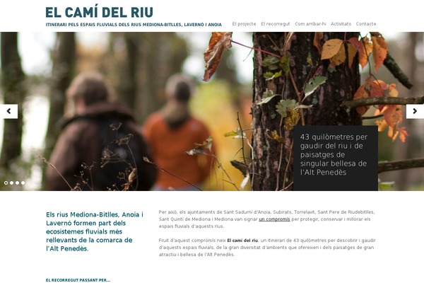 Immersion theme site design template sample