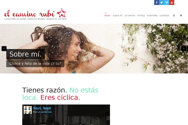 KLEO theme site design template sample