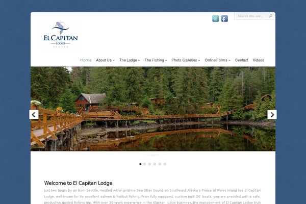 Chameleon theme site design template sample