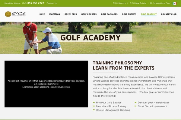 Site using Awesome Weather Widget plugin