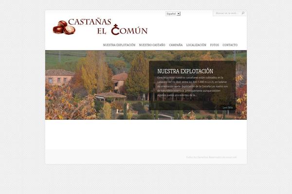 Chameleon theme site design template sample