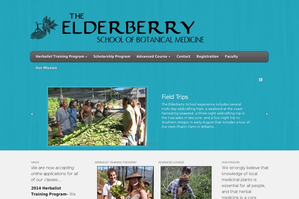 Feather theme site design template sample